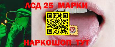 ПСИЛОЦИБИНОВЫЕ ГРИБЫ Канаш