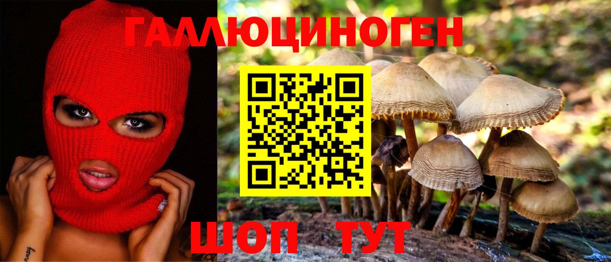 что такое наркотик  Псилоцибиновые грибы GOLDEN TEACHER  Вход с VPN  Джанкой 