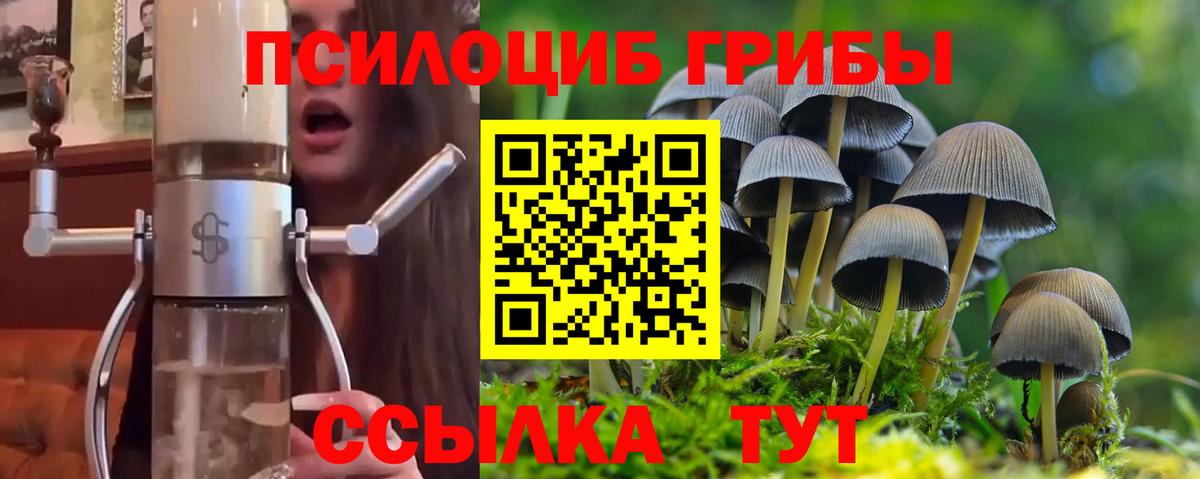 Галлюциногенные грибы Psilocybine cubensis Джанкой